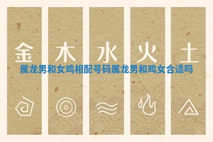 属龙男和女鸡相配号码 属龙男和鸡女合适吗