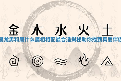 属龙男和属什么属相相配最合适揭秘助你找到真爱伴侣