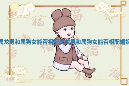 属龙男和属狗女能否相配_属龙男和属狗女能否相配婚姻