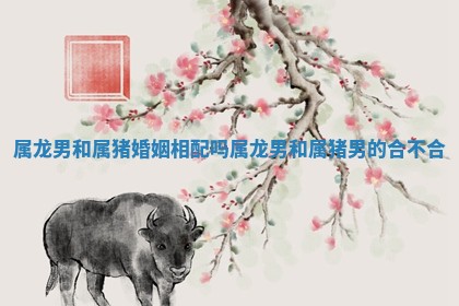 属龙男和属猪婚姻相配吗 属龙男和属猪男的合不合