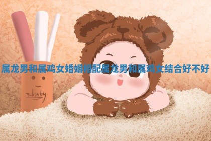 属龙男和属鸡女婚姻相配 属龙男和属鸡女结合好不好 属龙男和属鸡女婚姻相配 属龙男和属鸡女结合好不好