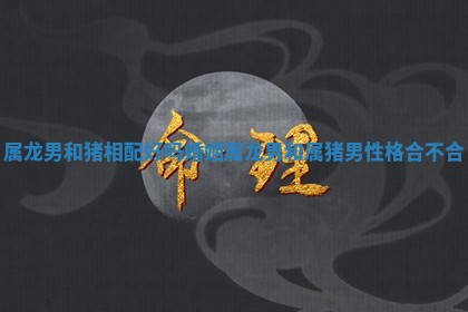 属龙男和猪相配好吗婚姻 属龙男和属猪男性格合不合