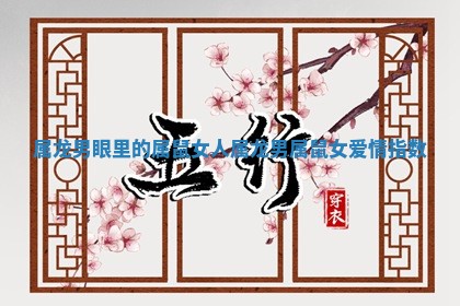 属龙男眼里的属鼠女人_属龙男属鼠女爱情指数