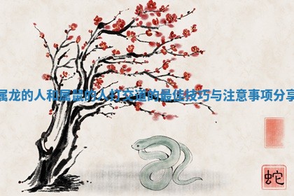 属龙的人和属鼠的人打交道的最佳技巧与注意事项分享