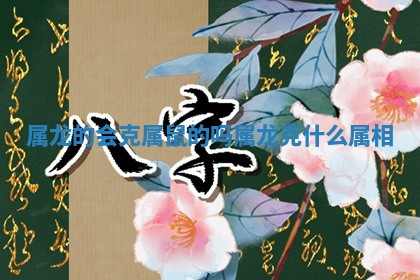 属龙的会克属鼠的吗_属龙克什么属相 属龙的会克属鼠的吗_属龙克什么属相