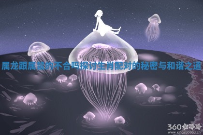 属龙跟属鼠的不合吗探讨生肖配对的秘密与和谐之道
