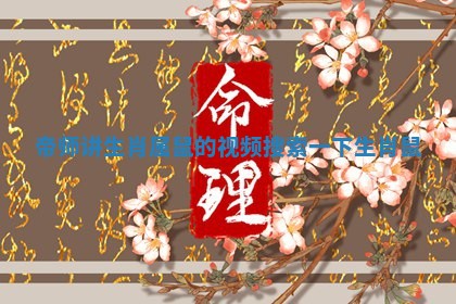 帝师讲生肖属鼠的视频_搜索一下生肖鼠