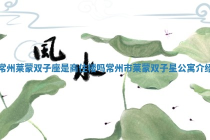 常州莱蒙双子座是商住楼吗_常州市莱蒙双子星公寓介绍