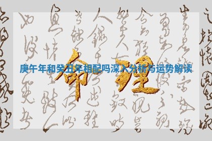 庚午年和癸丑年相配吗深入分析与运势解读