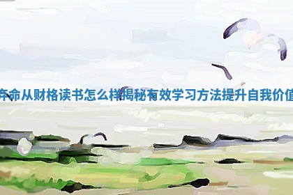 弃命从财格读书怎么样揭秘有效学习方法提升自我价值