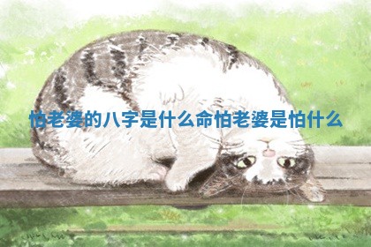 怕老婆的八字是什么命 怕老婆是怕什么