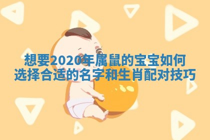 想要2020年属鼠的宝宝如何选择合适的名字和生肖配对技巧