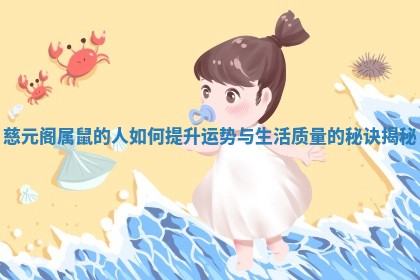 慈元阁属鼠的人如何提升运势与生活质量的秘诀揭秘 慈元阁属鼠的人如何提升运势与生活质量的秘诀揭秘