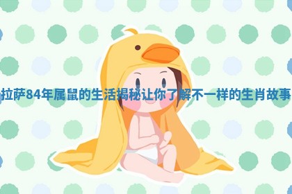 拉萨84年属鼠的生活揭秘让你了解不一样的生肖故事