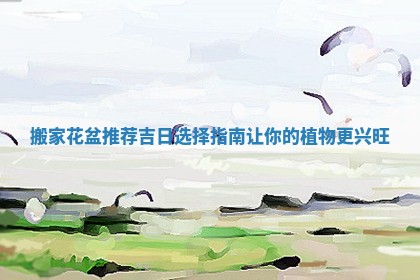 搬家花盆推荐吉日选择指南让你的植物更兴旺