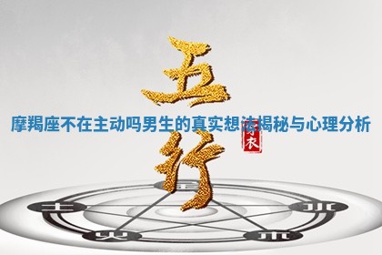 摩羯座不在主动吗男生的真实想法揭秘与心理分析