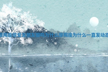 摩羯座很爱发朋友圈吗为什么_摩羯座为什么一直发动态 摩羯座很爱发朋友圈吗为什么_摩羯座为什么一直发动态