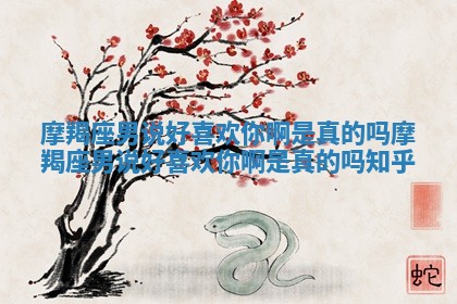 摩羯座男说好喜欢你啊是真的吗_摩羯座男说好喜欢你啊是真的吗知乎