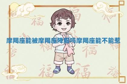 摩羯座能被摩羯座降服吗 摩羯座能不能惹