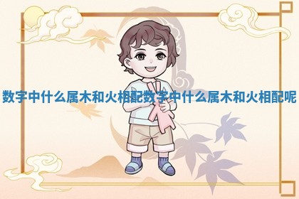 数字中什么属木和火相配_数字中什么属木和火相配呢