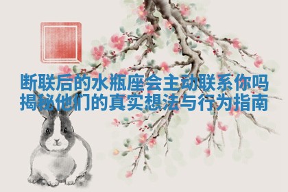 断联后的水瓶座会主动联系你吗揭秘他们的真实想法与行为指南