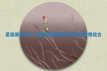 星座属龙和什么属相相配揭秘最完美的爱情组合