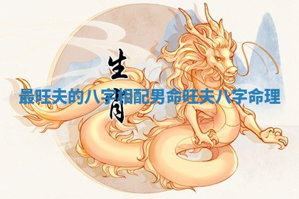 最旺夫的八字相配男命 旺夫八字命理