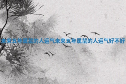 未来五年属鼠的人运气_未来五年属鼠的人运气好不好