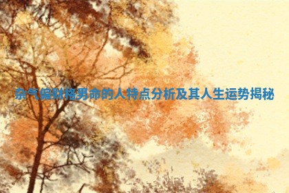 杂气偏财格男命的人特点分析及其人生运势揭秘