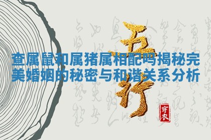 查属鼠和属猪属相配吗揭秘完美婚姻的秘密与和谐关系分析