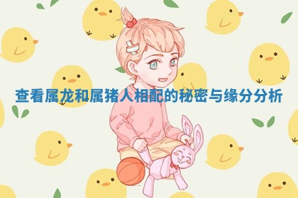 查看属龙和属猪人相配的秘密与缘分分析