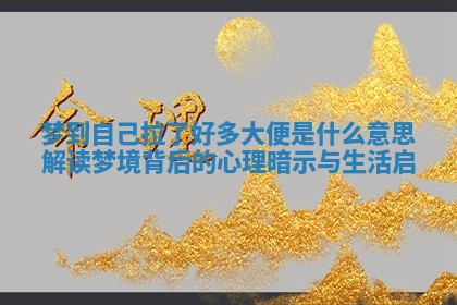 梦到自己拉了好多大便是什么意思解读梦境背后的心理暗示与生活启