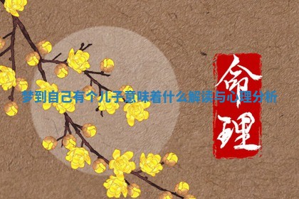 梦到自己有个儿子意味着什么解读与心理分析