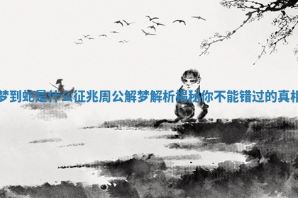 梦到蛇是什么征兆周公解梦解析揭秘你不能错过的真相