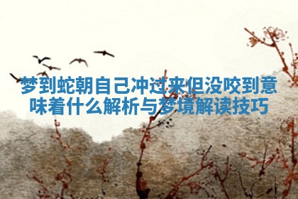 梦到蛇朝自己冲过来但没咬到意味着什么解析与梦境解读技巧