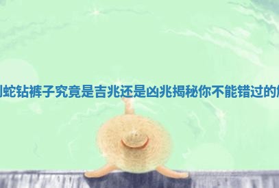 梦到蛇钻裤子究竟是吉兆还是凶兆揭秘你不能错过的解读