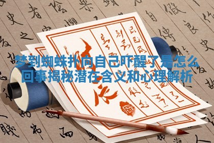 梦到蜘蛛扑向自己吓醒了是怎么回事揭秘潜在含义和心理解析
