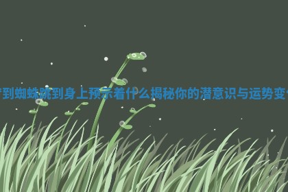 梦到蜘蛛跳到身上预示着什么揭秘你的潜意识与运势变化