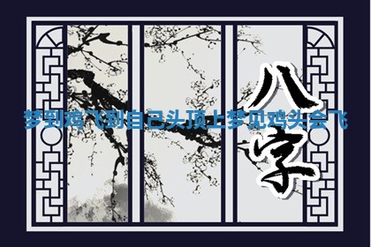 梦到鸡飞到自己头顶上_梦见鸡头会飞