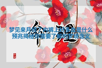 梦见来月经了内裤上好多血是什么预兆揭秘你需要了解的梦境含义