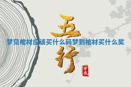 梦见棺材应该买什么码_梦到棺材买什么奖