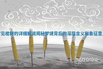 梦见棺材的详细解说揭秘梦境背后的深层含义和象征意义