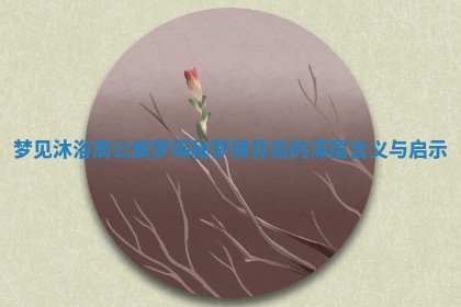 梦见沐浴周公解梦揭秘梦境背后的深层含义与启示