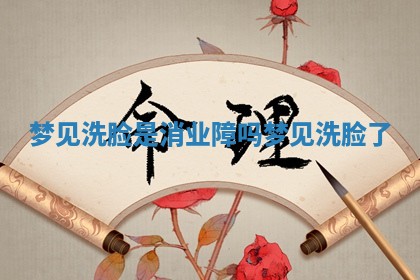 梦见洗脸是消业障吗 梦见洗脸了