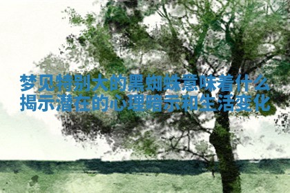 梦见特别大的黑蜘蛛意味着什么揭示潜在的心理暗示和生活变化