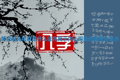 梦见玩具棺材是什么征兆揭示内心深处的秘密与启示