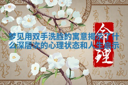 梦见用双手洗脸的寓意揭示了什么深层次的心理状态和人生启示