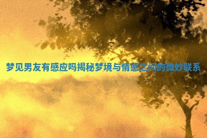 梦见男友有感应吗揭秘梦境与情感之间的微妙联系