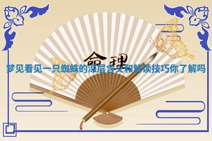 梦见看见一只蜘蛛的深层含义和解读技巧你了解吗