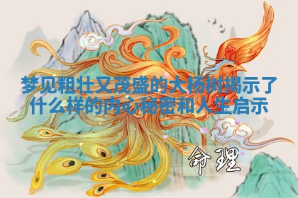 梦见粗壮又茂盛的大杨树揭示了什么样的内心秘密和人生启示